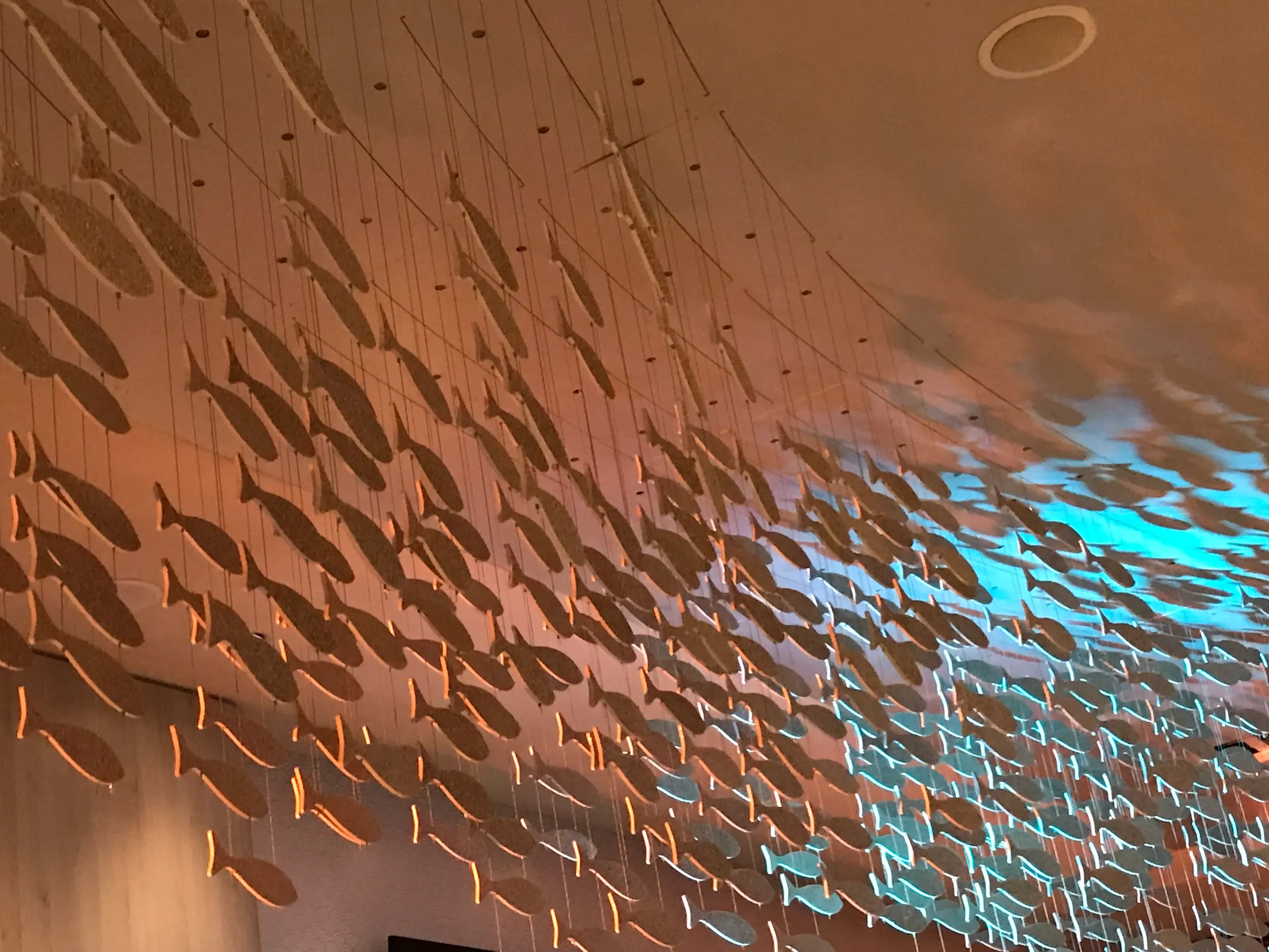 Astor Filmlounge — Fischschwarm