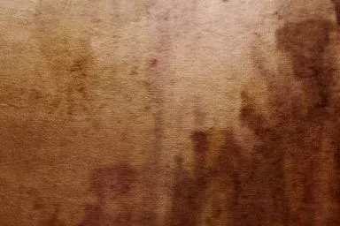 Blattkupfer-Detail