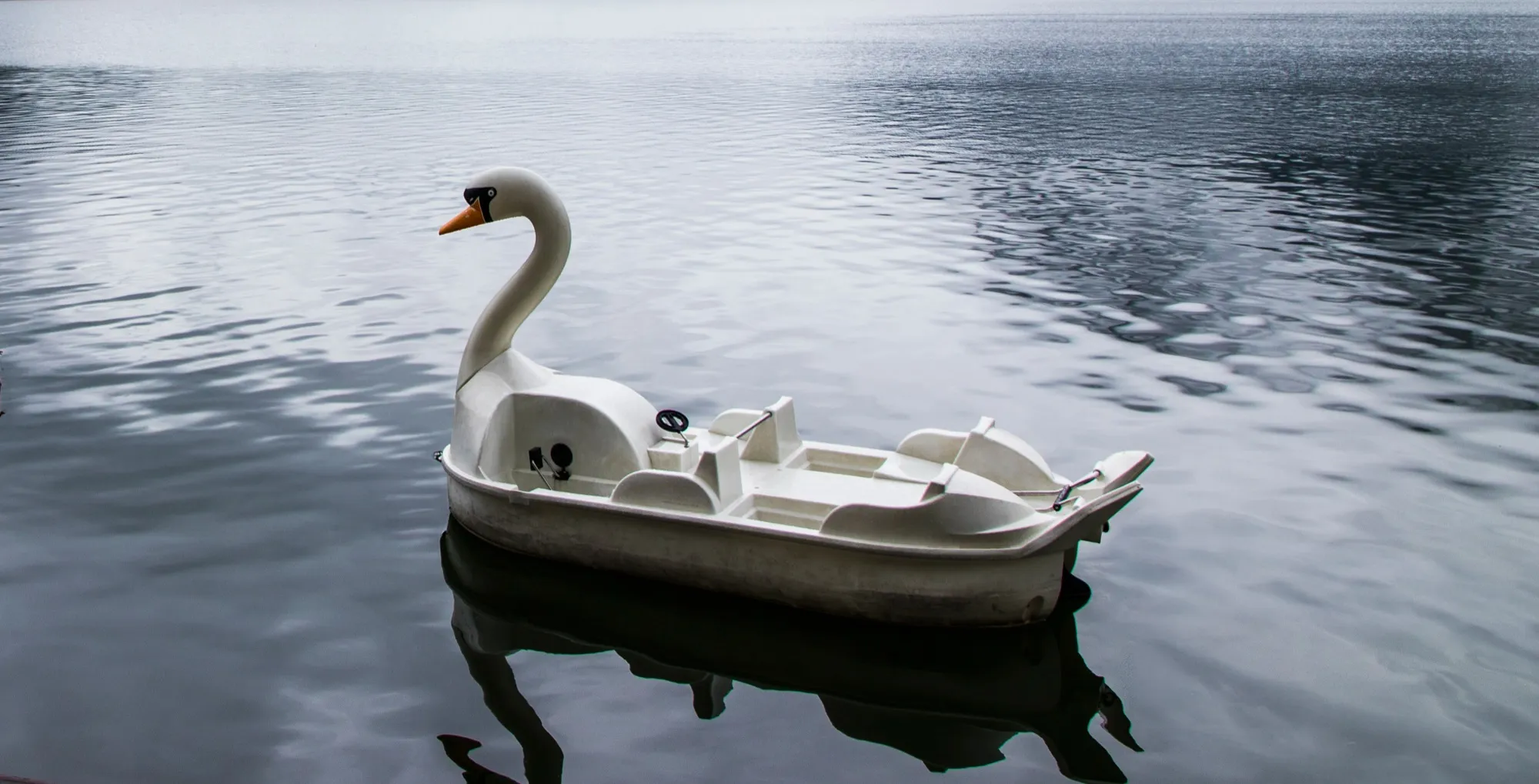 Patín en forma de cisne, a solas en un lago de montaña